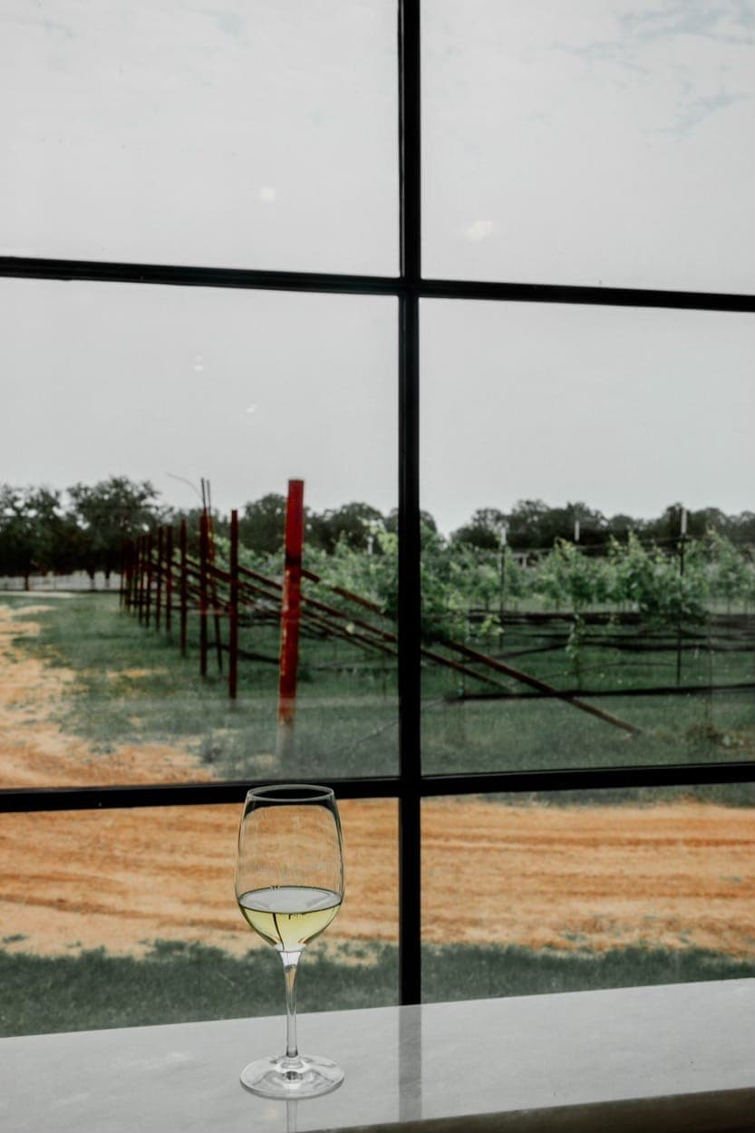 Signor Vineyards Pavilion: photo 13
